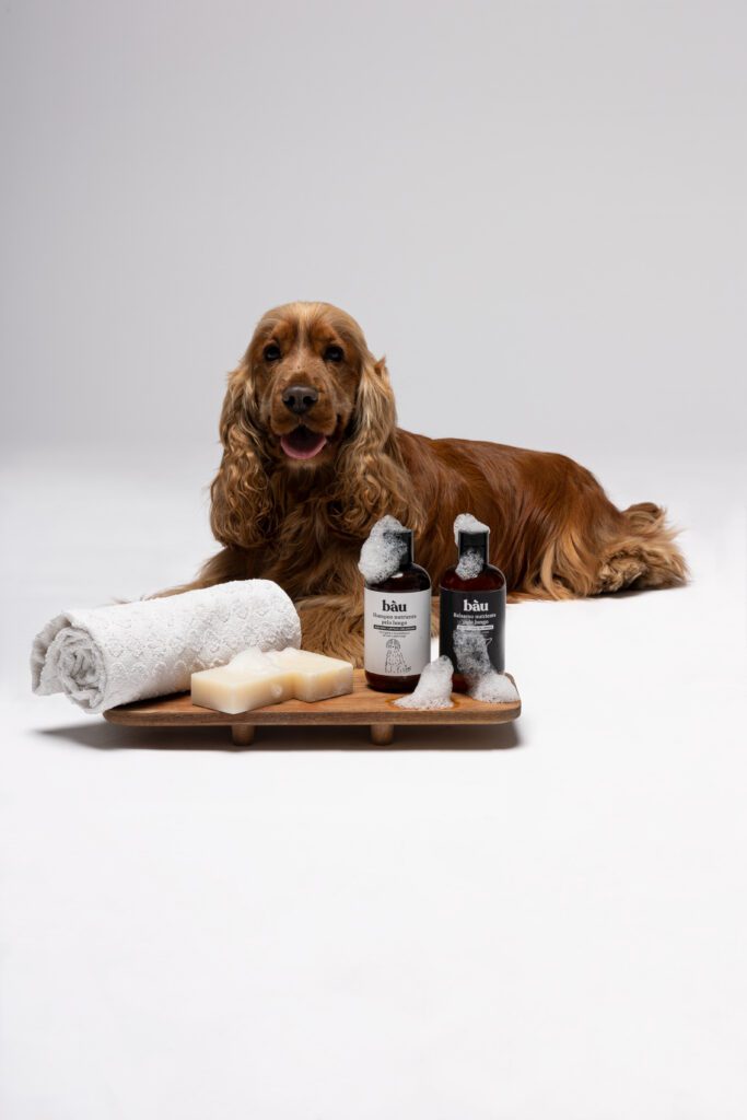 BAÙ EMOZIONALE CON CANI 2023 — foto 3