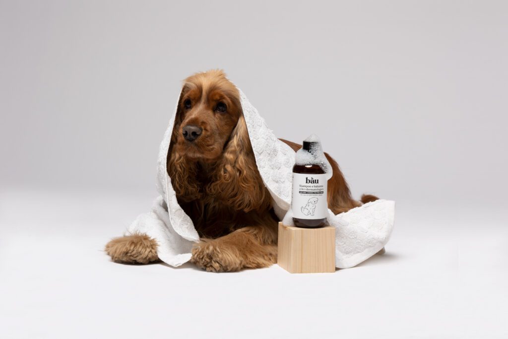 BAÙ EMOZIONALE CON CANI 2023 — foto 9
