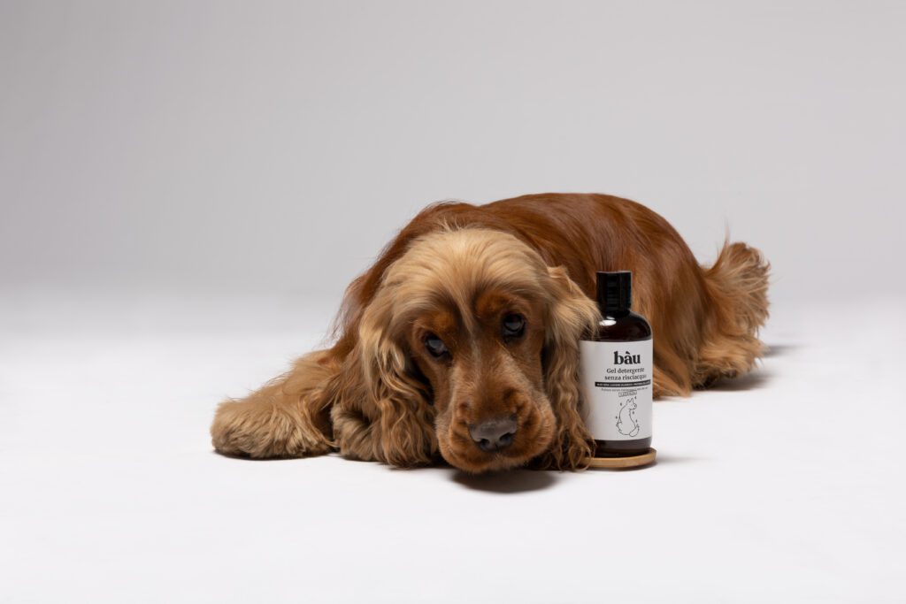 BAÙ EMOZIONALE CON CANI 2023 — foto 10