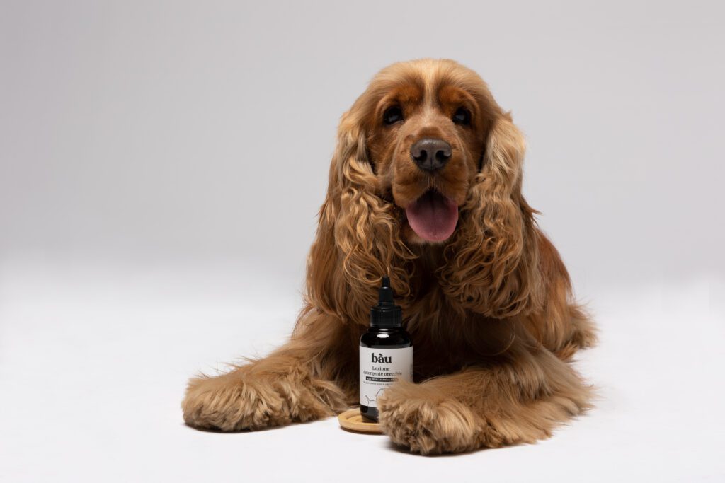 BAÙ EMOZIONALE CON CANI 2023 — foto 11