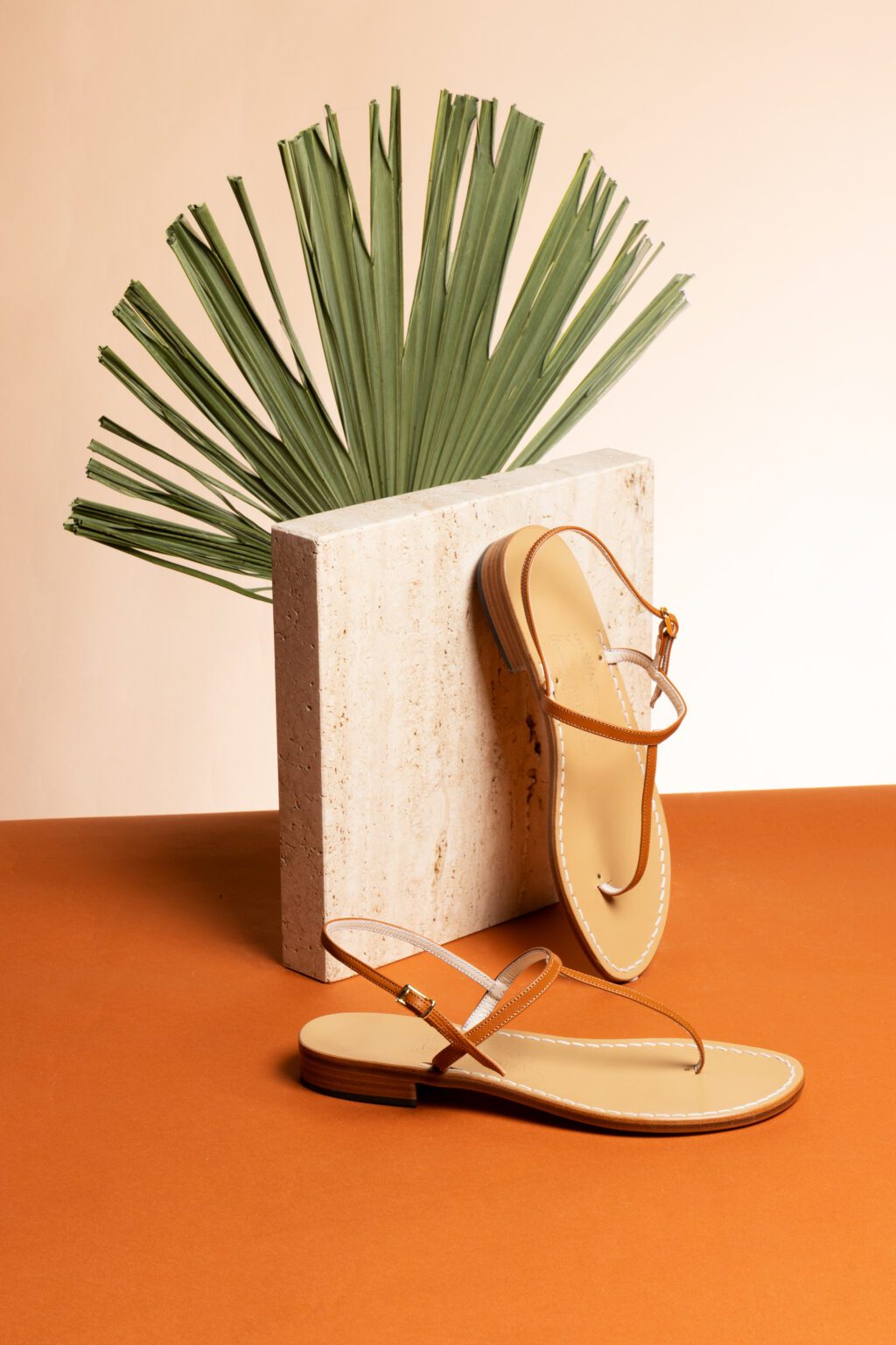 CANFORA CAPRI STILL LIFE EMOZIONALE 2023 — foto 1
