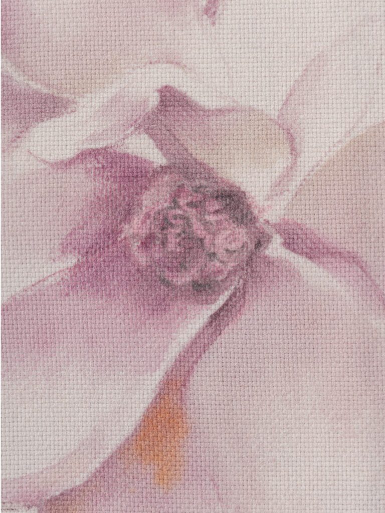 VILLA COMO STILL LIFE 2023 — foto 17