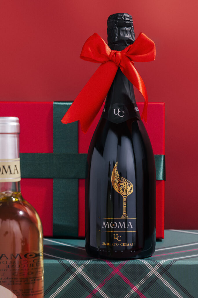 UMBERTO CESARI NATALE 2024 — foto 6