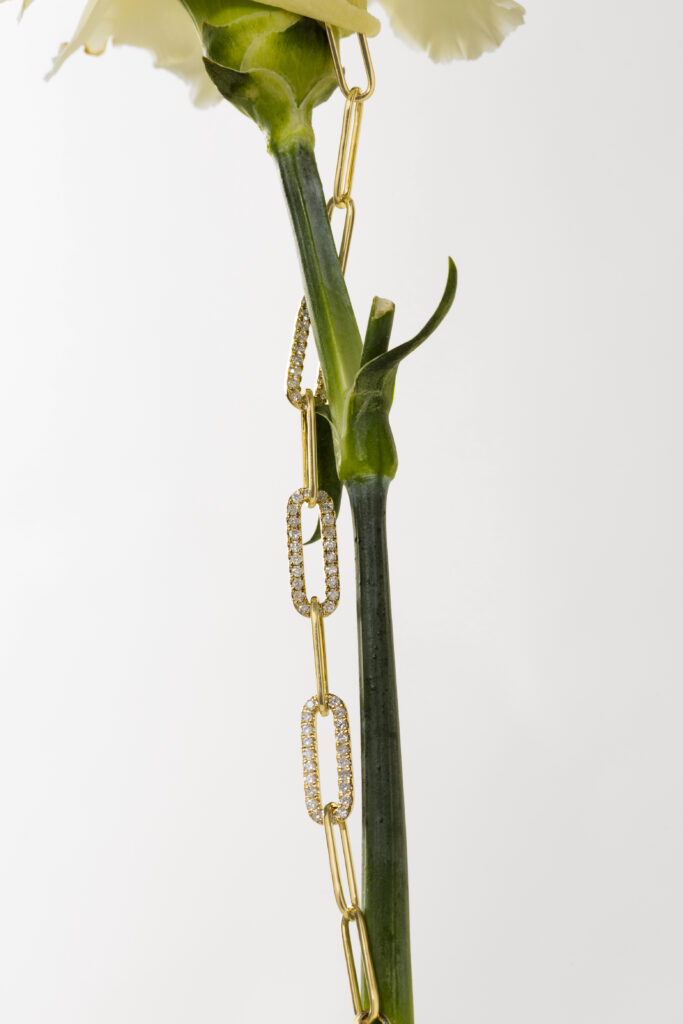 IKONIC JEWELLERY STILL LIFE EMOZIONALE 2025 — foto 12