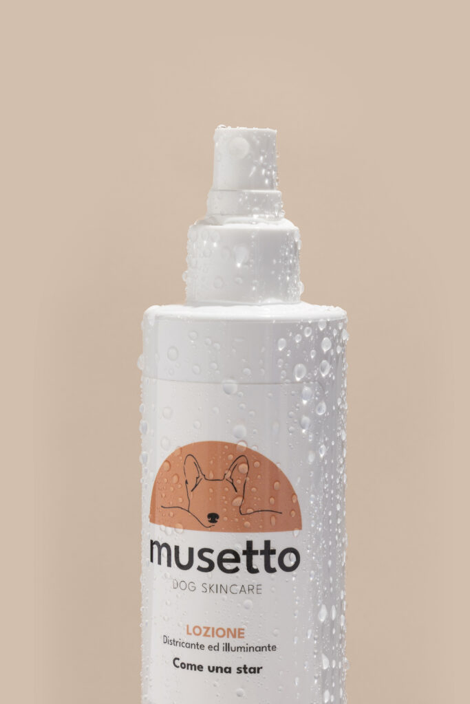 MUSETTO STILL LIFE AMBIENTATO 2025 — foto 5