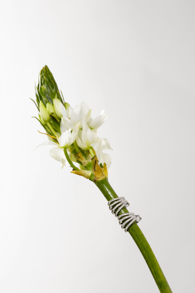 IKONIC JEWELLERY STILL LIFE EMOZIONALE 2025