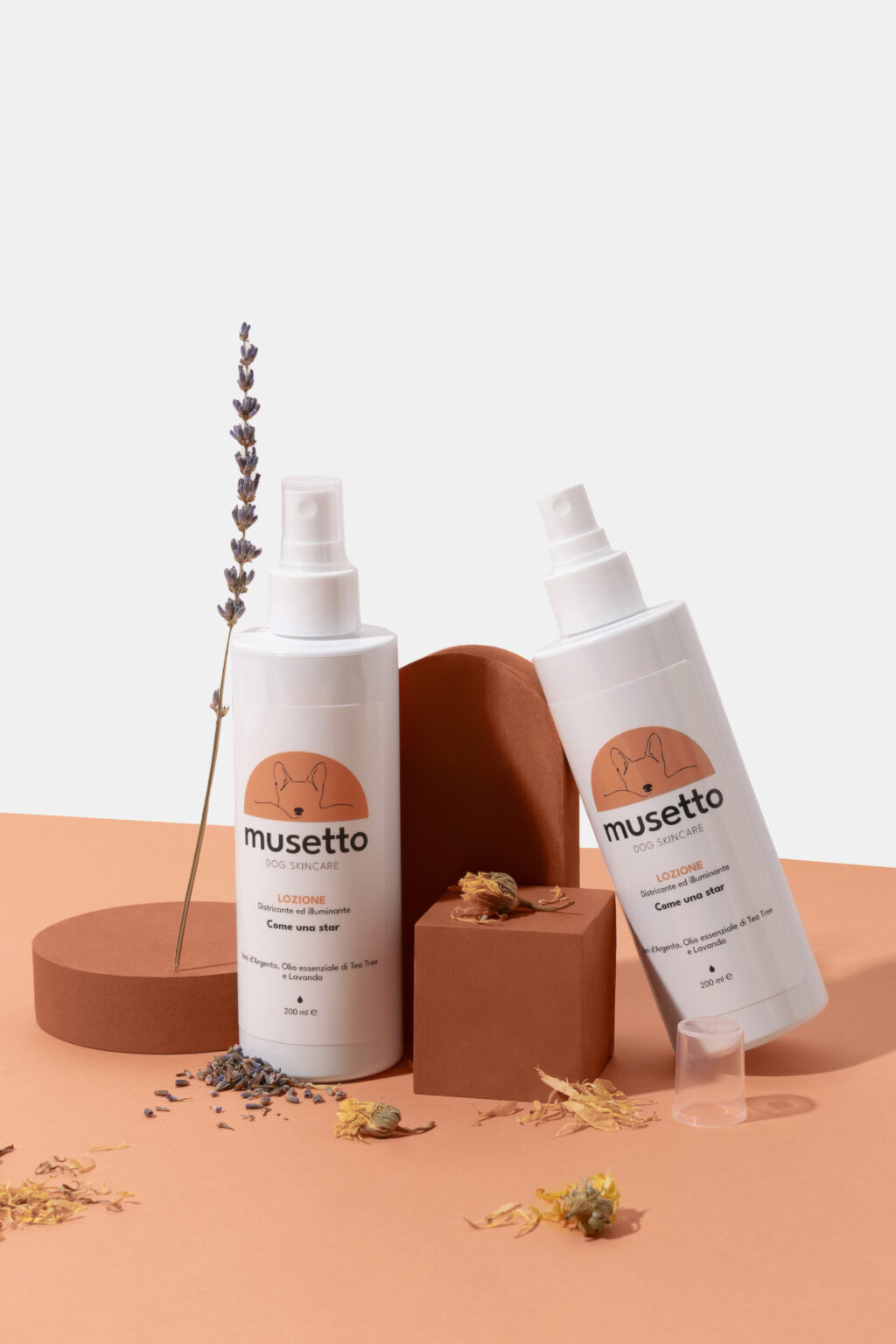 MUSETTO STILL LIFE AMBIENTATO 2025 — foto 1